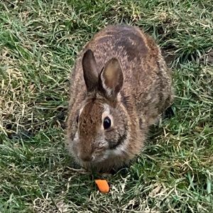 Meet your Posher, Arlene